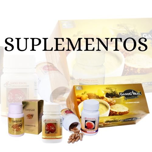 SUPLEMENTOS 2